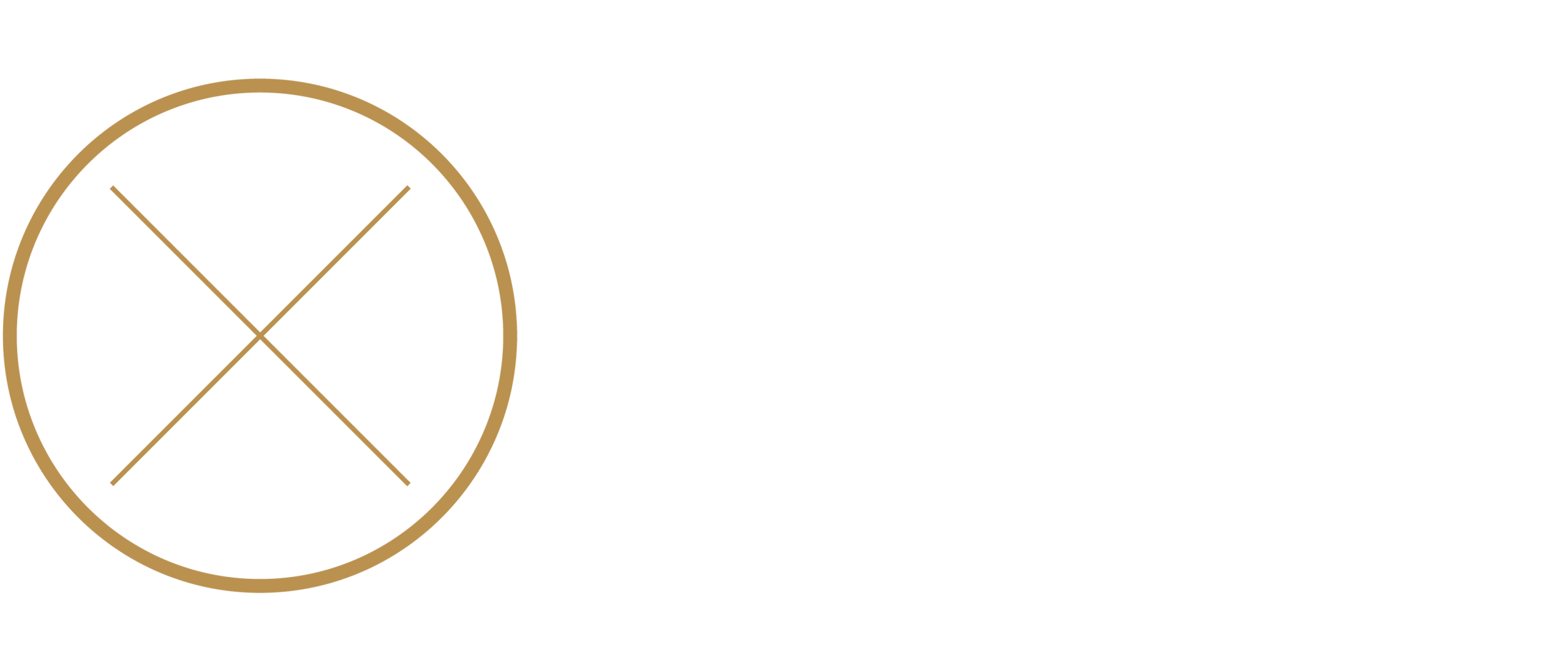 JS1996 – Die Agentur
